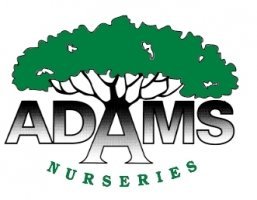 Logo Adams Nurseries