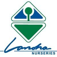 Logo Lanoha Nurseries