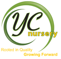 Logo Y-c Nursery Prosper