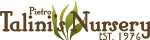 Logo Talini's Nursery & Garden Center