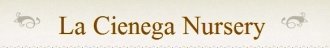 Logo La Cienega Nursery