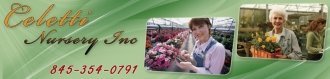 Logo Celetti Nursery
