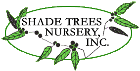 Logo Shade Trees Nursery