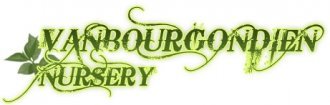 Logo Van Bourgondien Nursery