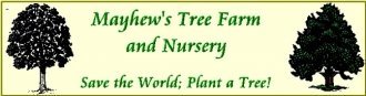 Logo Mayhew's Tree Farm & Nursery