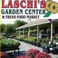 Logo Laschi's Garden Center