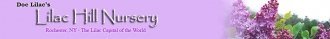 Logo Lilac Hill Nursery
