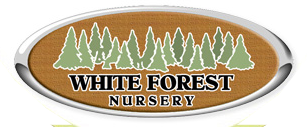 Logo White Forest Nursery