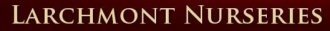 Logo Callander's Nursery & Garden