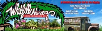 Logo Whitfill Nurseries