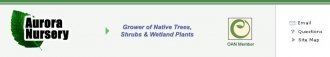 Logo Aurora Nursery