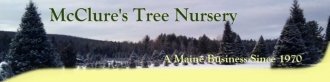 Logo Mc Clure's Tree Nursery