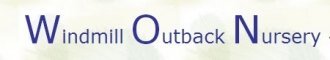 Logo Windmill Outback Nursery