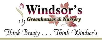 Logo Windsor Greenhouses & Nursery