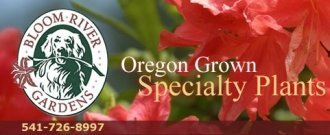 Logo Bloom River Gardens