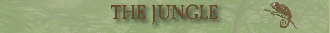 Logo Jungle Nursery