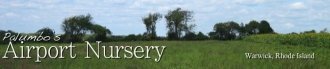 Logo Airport Nursery