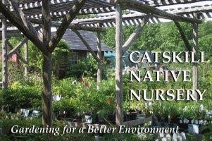Logo Catskill Native Nursery