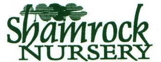 Logo Shamrock Nursery