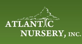 Logo Atlantic Nursery