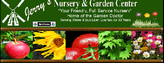Jerry S Nursery Garden Center Garden Center Guide
