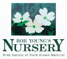 Logo Bob Young Jr Nursery
