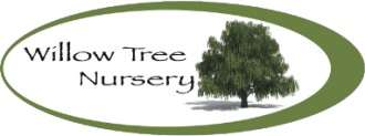 Logo Willow Tree Nursery