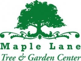Logo Maple Lane Trees & Garden