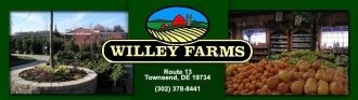 Logo Willey's Home & Garden Showplace
