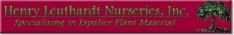 Logo Henry Leuthardt Nurseries