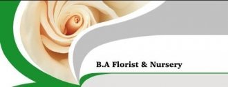 Logo B A Florist & Nursery Co