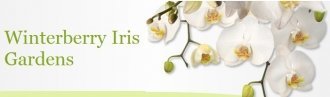 Logo Winterberry Gardens
