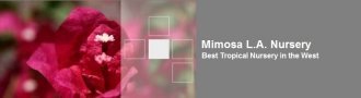 Logo tuincentrum Mimosa Nursery