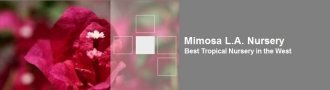 Logo Mimosa Nursery