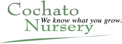 Logo Cochato Native Plant Nursery