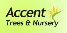 Logo Accent Trees & Nursery