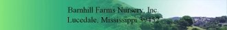 Logo Barnhill Farms Nursery